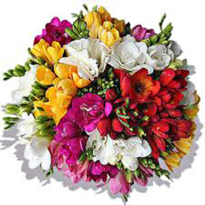 Bouquet_4d6bbfd29c814