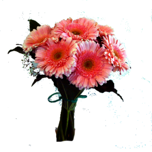 thumb_24bouquet